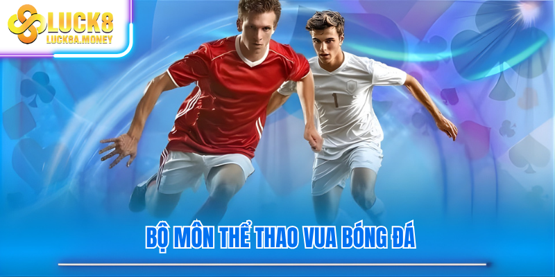 Bộ môn thể thao vua bóng đá