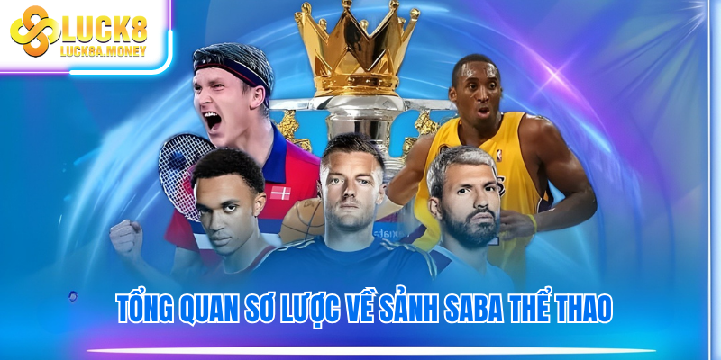 Tổng quan sơ lược về sảnh saba thể thao